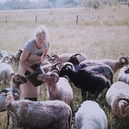 Pipowagen Elsebein Groningen Westerwolde Unieke Ligging Met Eigen Tuin En Vrij Uitzicht Over Veld Naar Natuurgebied Onstwedde Екстериор снимка