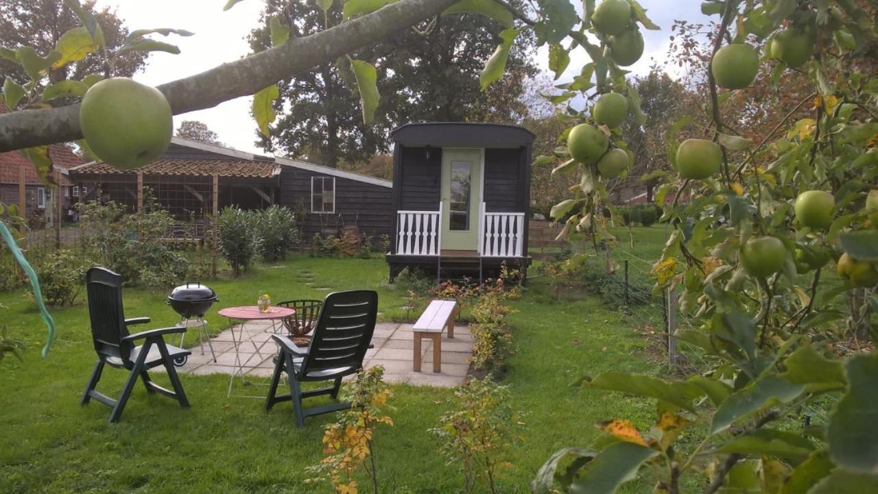Pipowagen Elsebein Groningen Westerwolde Unieke Ligging Met Eigen Tuin En Vrij Uitzicht Over Veld Naar Natuurgebied Onstwedde Екстериор снимка