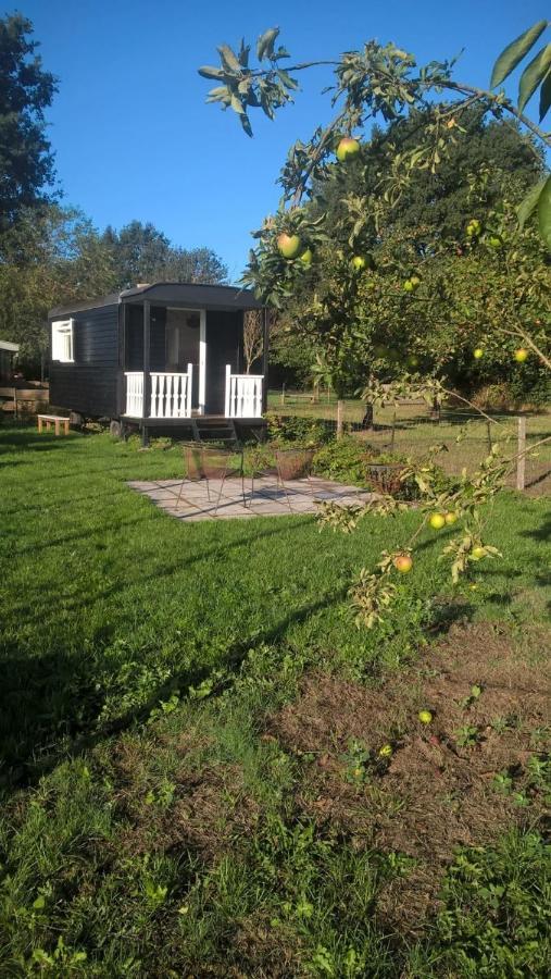 Pipowagen Elsebein Groningen Westerwolde Unieke Ligging Met Eigen Tuin En Vrij Uitzicht Over Veld Naar Natuurgebied Onstwedde Екстериор снимка