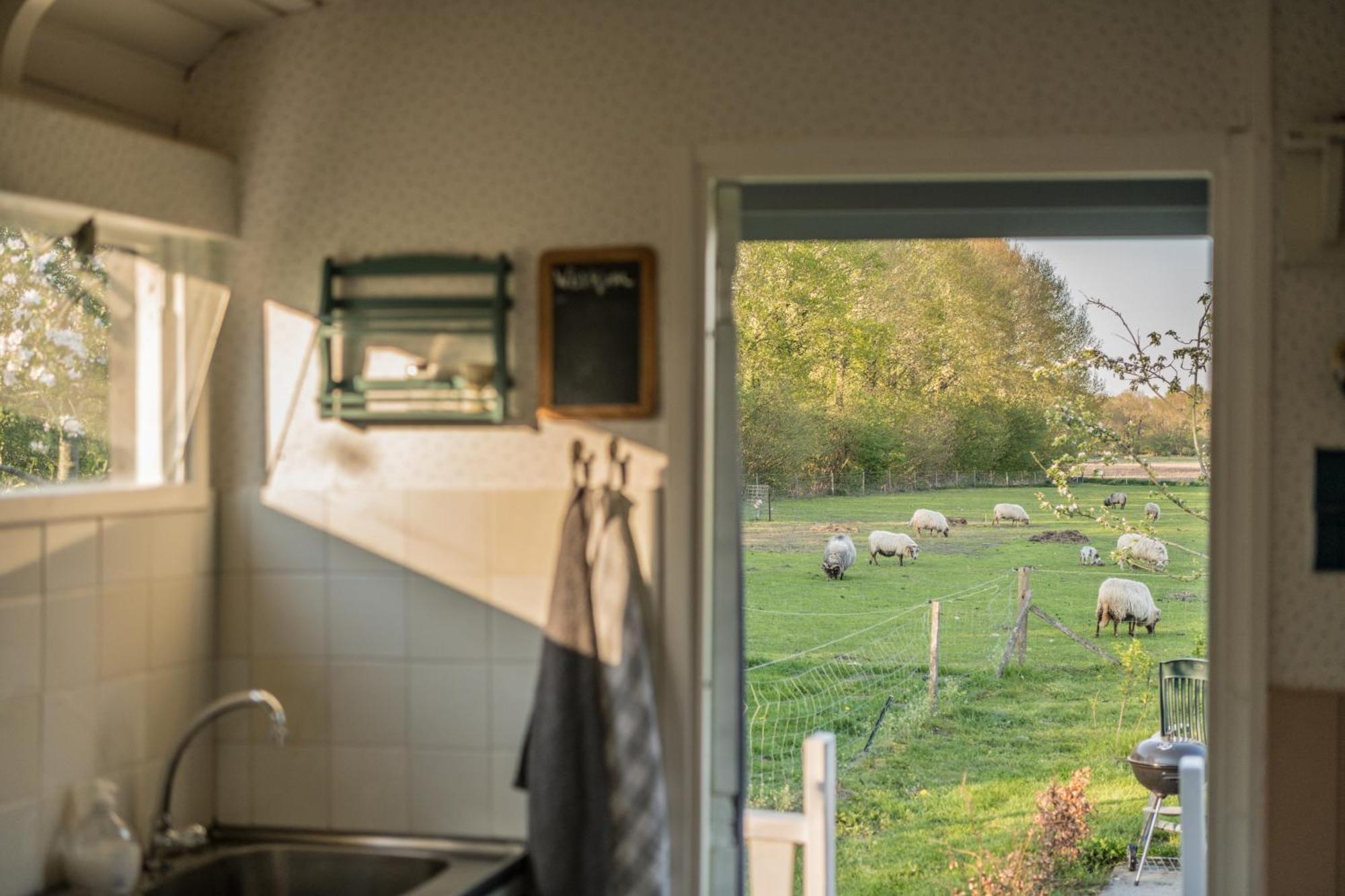 Pipowagen Elsebein Groningen Westerwolde Unieke Ligging Met Eigen Tuin En Vrij Uitzicht Over Veld Naar Natuurgebied Onstwedde Екстериор снимка