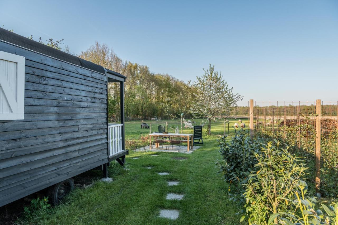 Pipowagen Elsebein Groningen Westerwolde Unieke Ligging Met Eigen Tuin En Vrij Uitzicht Over Veld Naar Natuurgebied Onstwedde Екстериор снимка