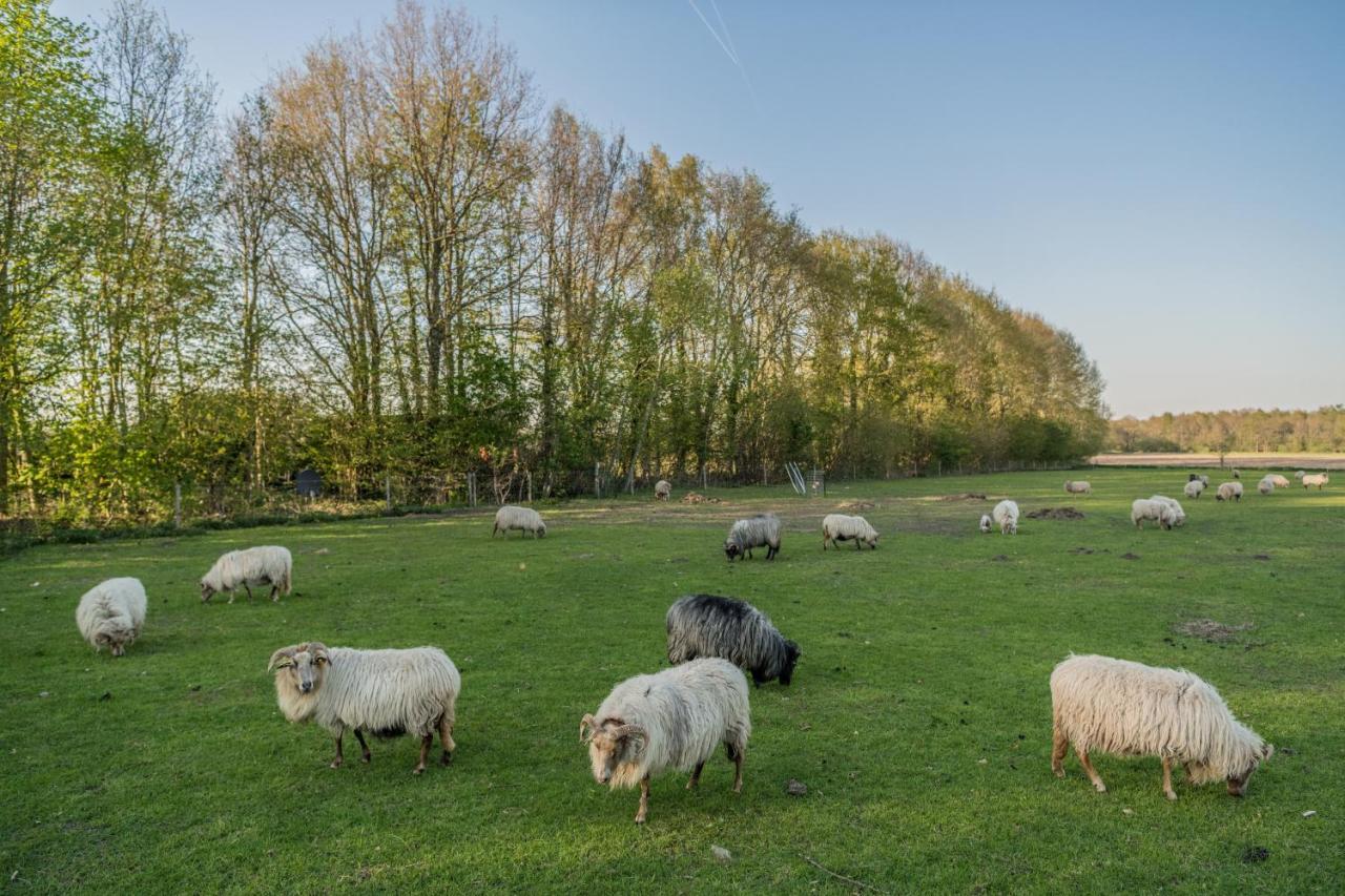 Pipowagen Elsebein Groningen Westerwolde Unieke Ligging Met Eigen Tuin En Vrij Uitzicht Over Veld Naar Natuurgebied Onstwedde Екстериор снимка